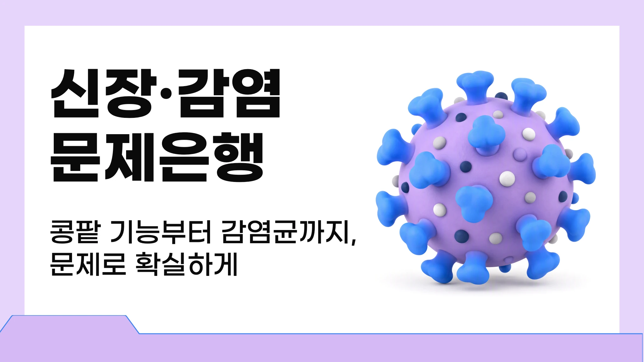 신장 / 감염