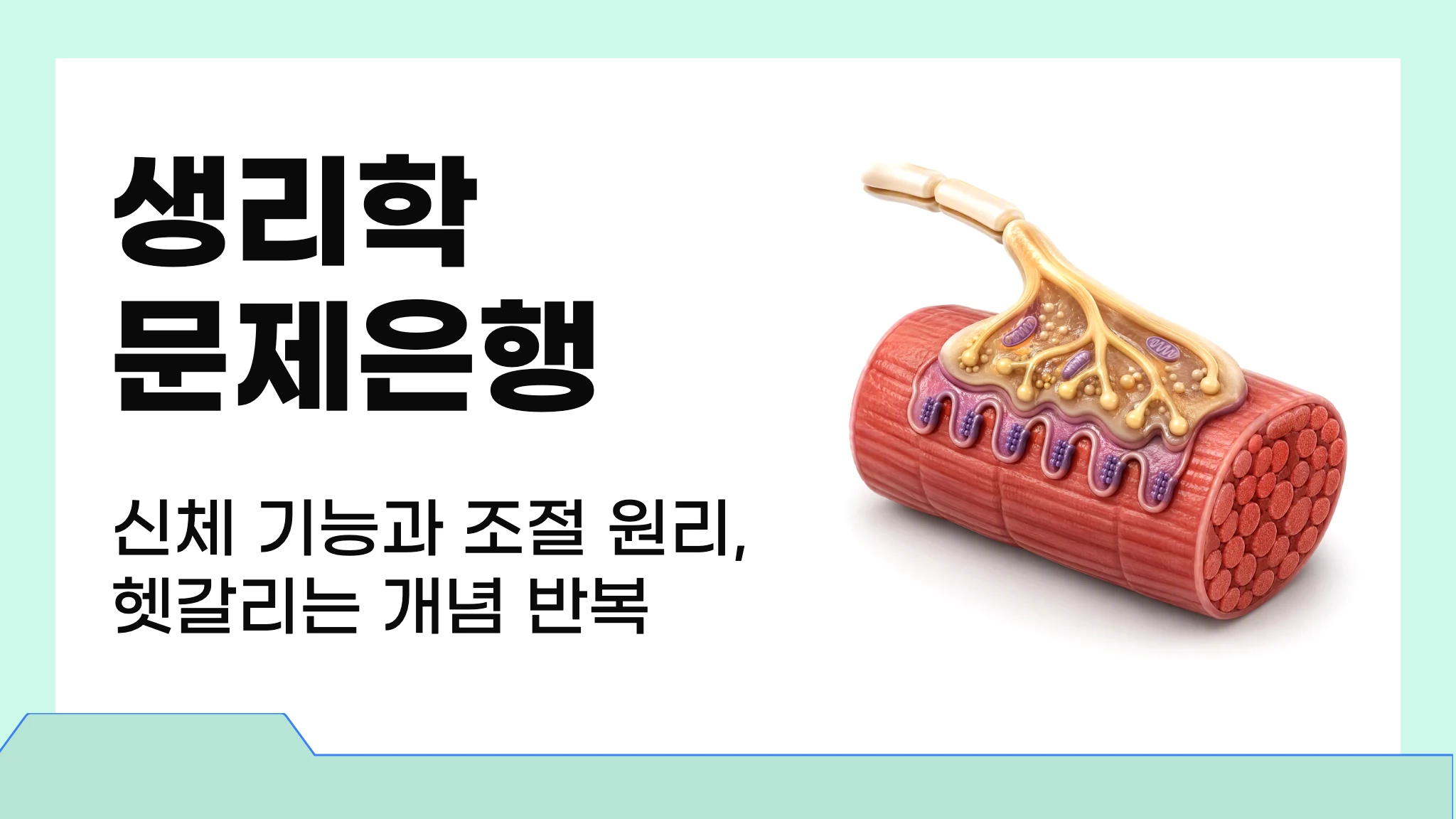 생리학