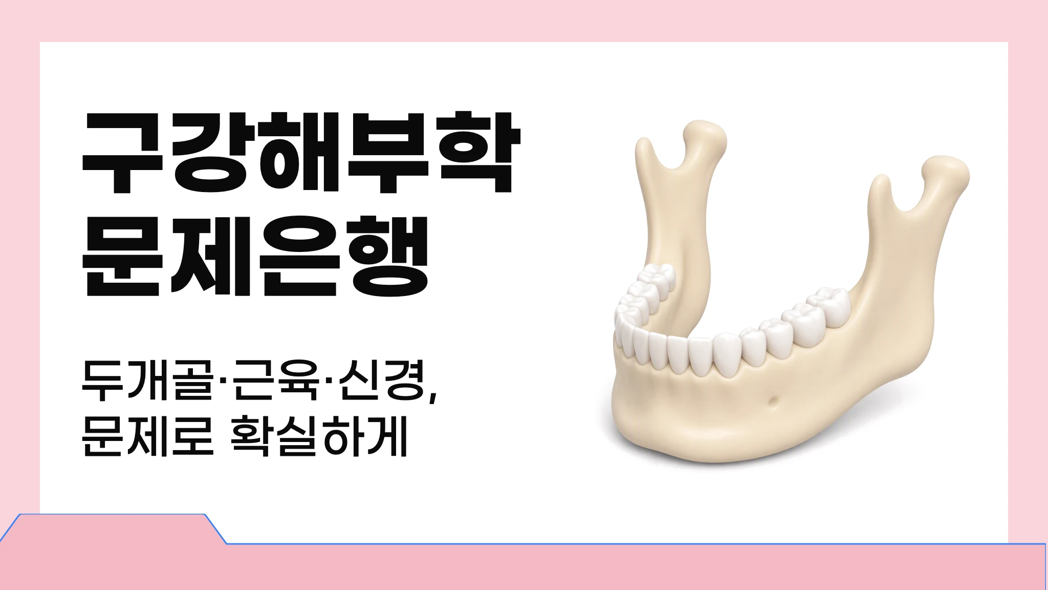 구강해부학