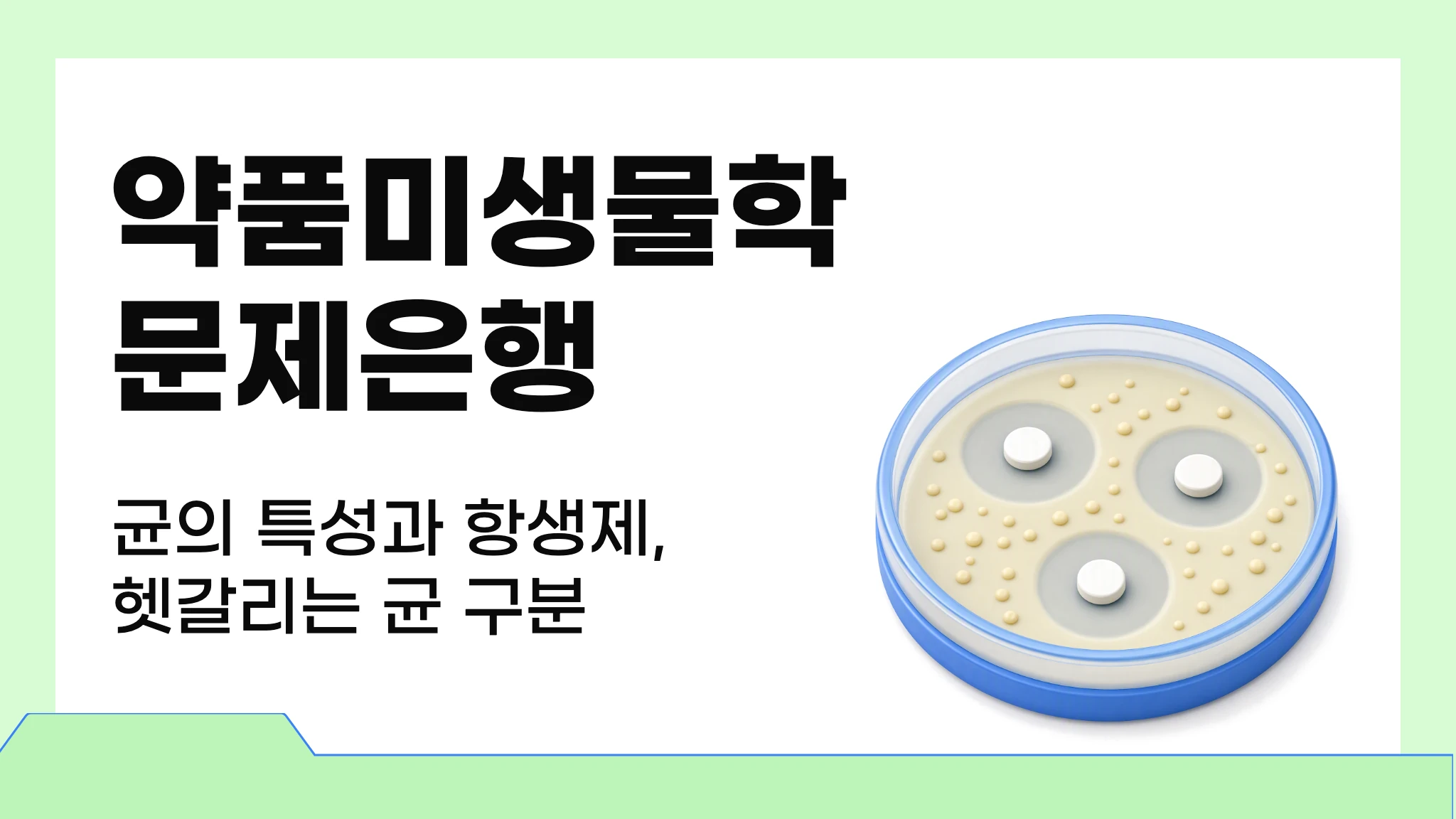약품미생물학