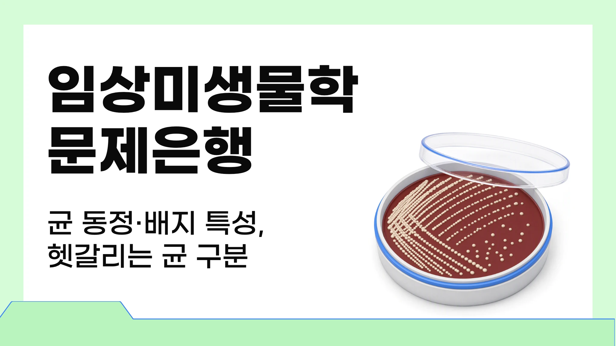 임상미생물학