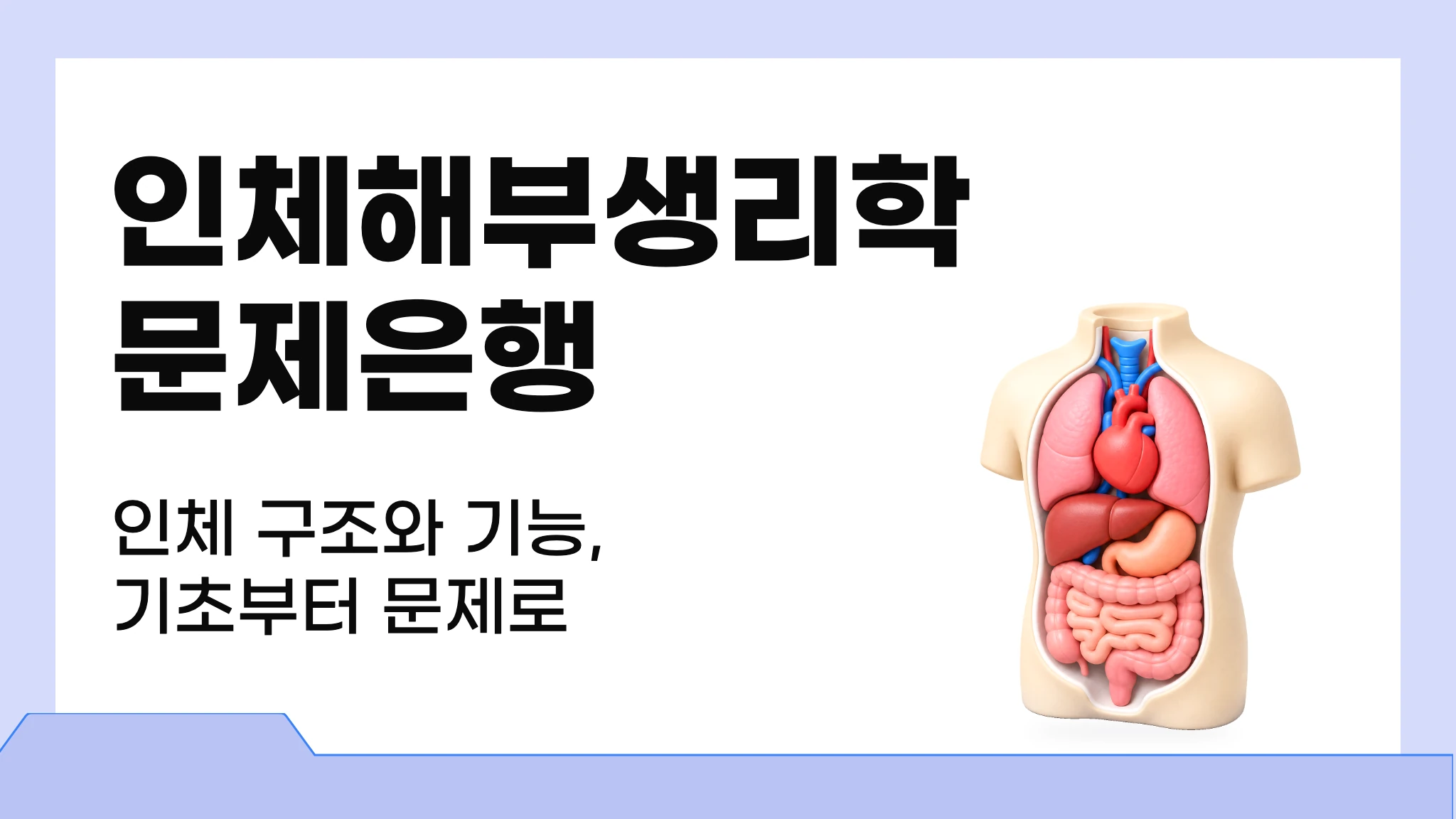 인체해부생리학