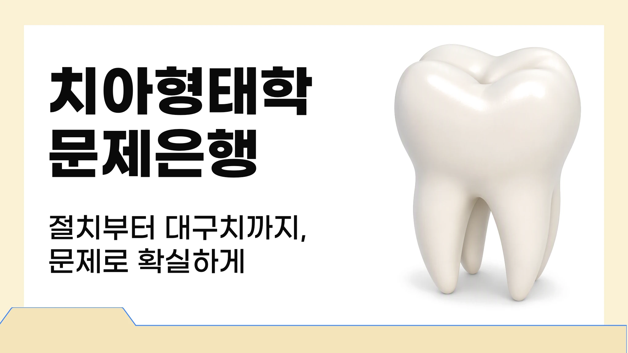 치아형태학