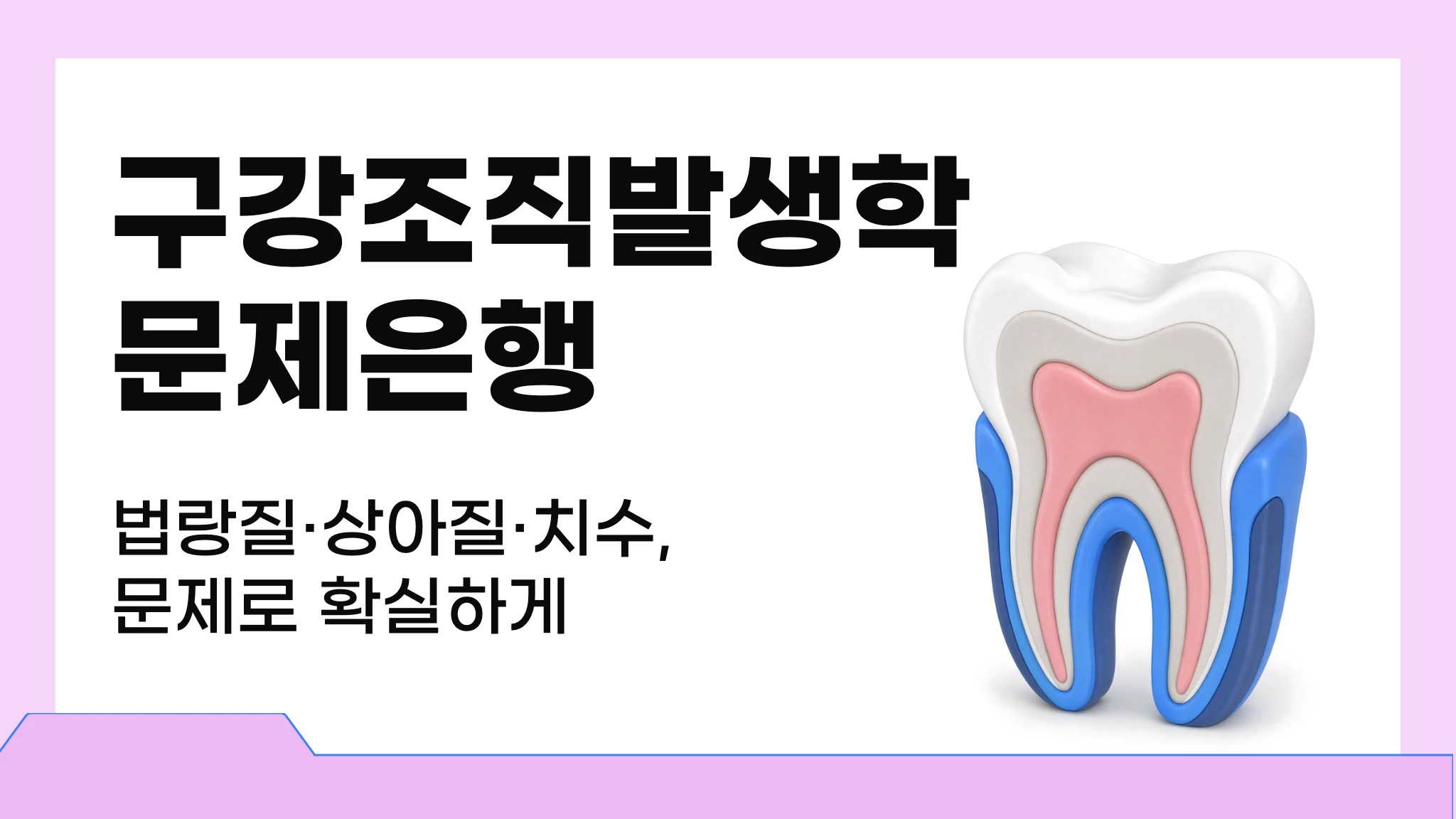 구강조직발생학