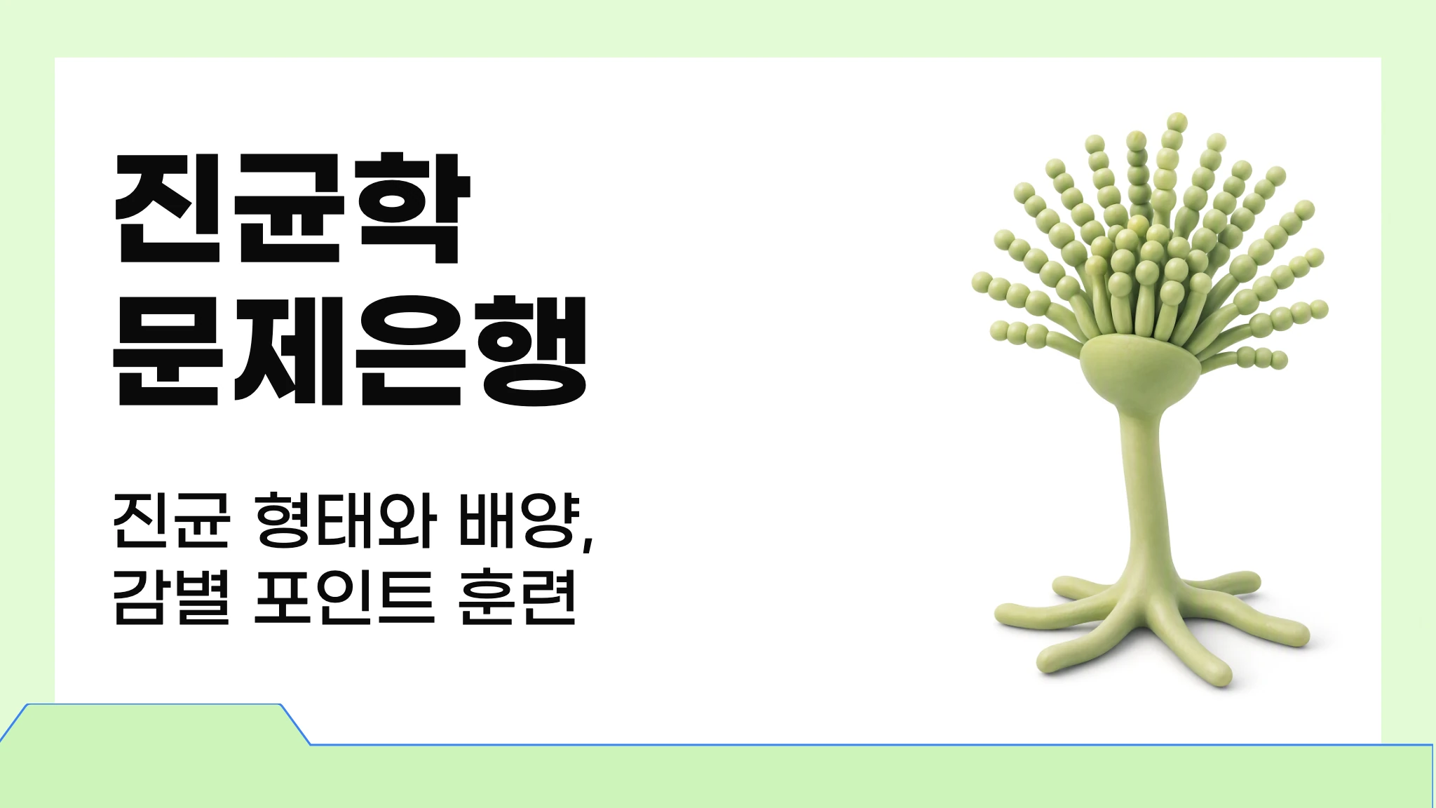 진균학