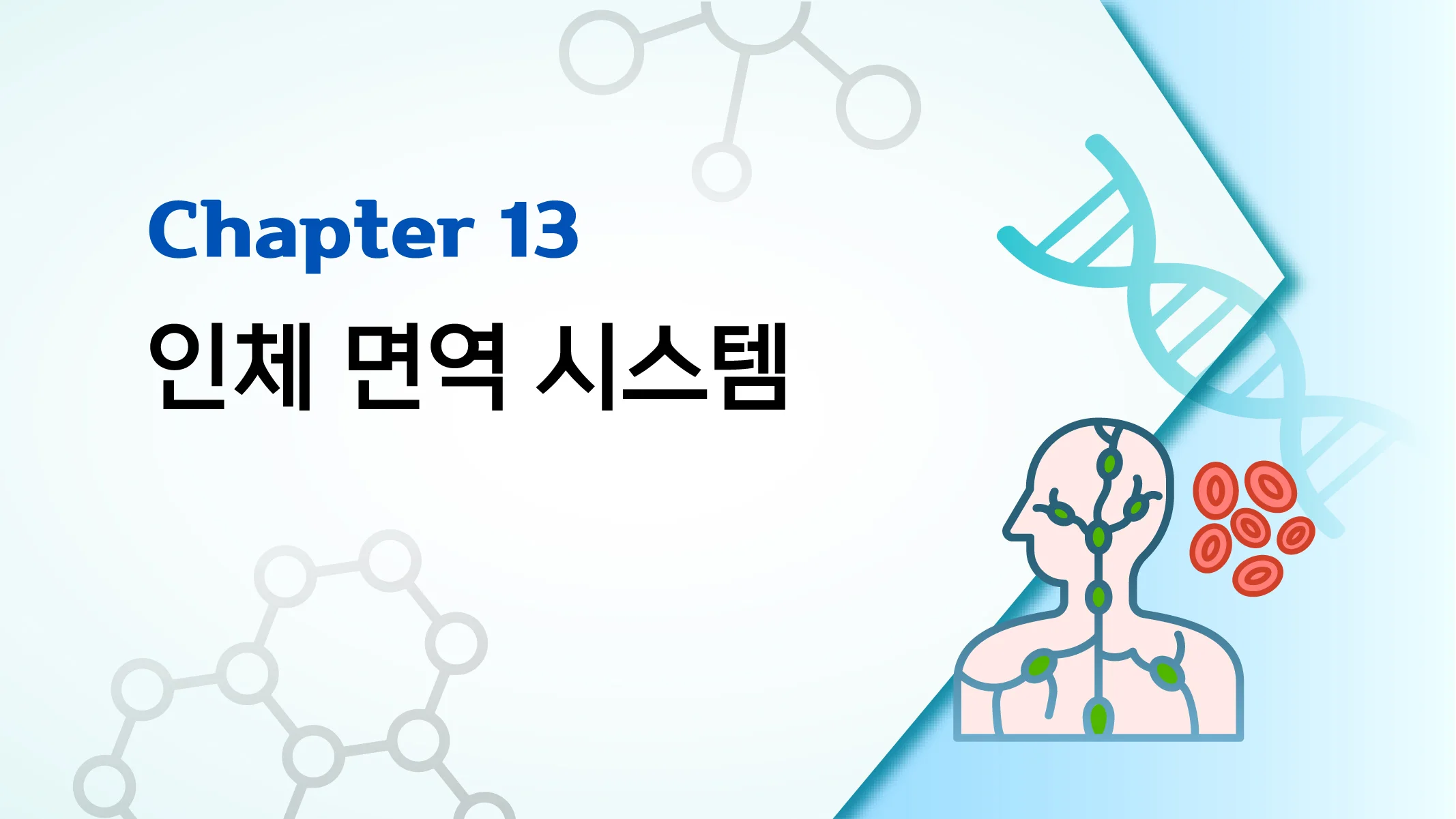 CHAPTER 13 인체 면역 시스템