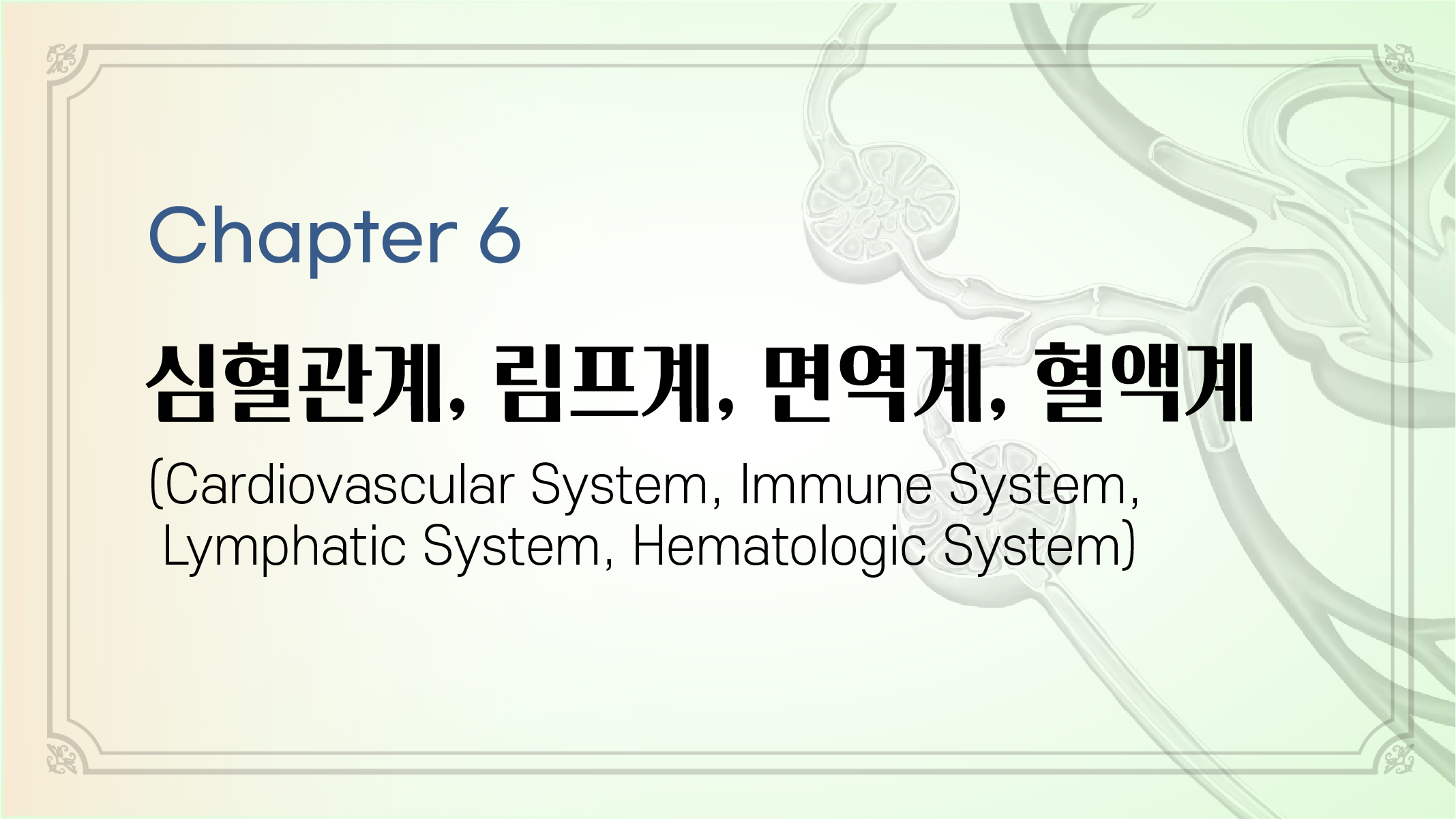 Chapter 6. 심혈관계, 림프계, 면역계, 혈액계