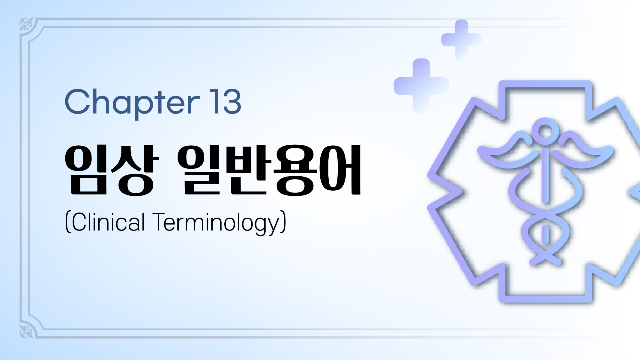 Chapter 13. 임상 일반용어