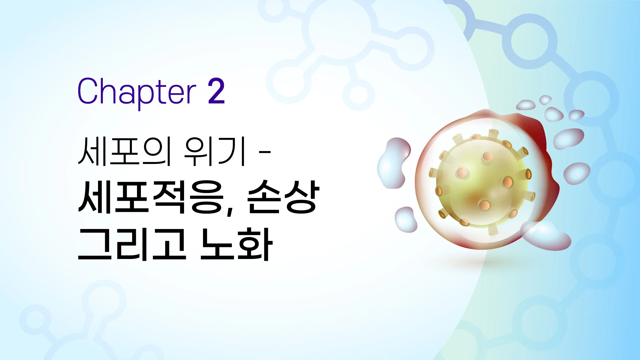 CHAPTER 02  세포의 위기 - 세포적응, 손상 그리고 노화