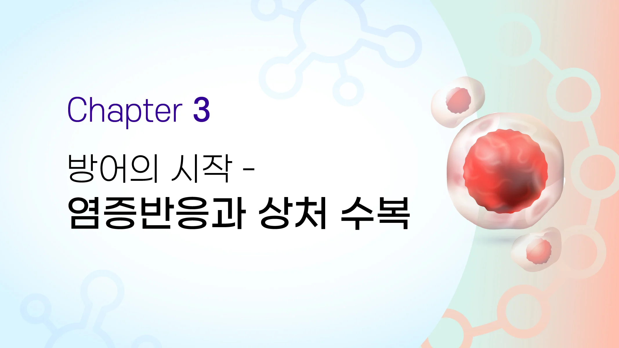 CHAPTER 03  방어의 시작 - 염증반응과 상처 수복