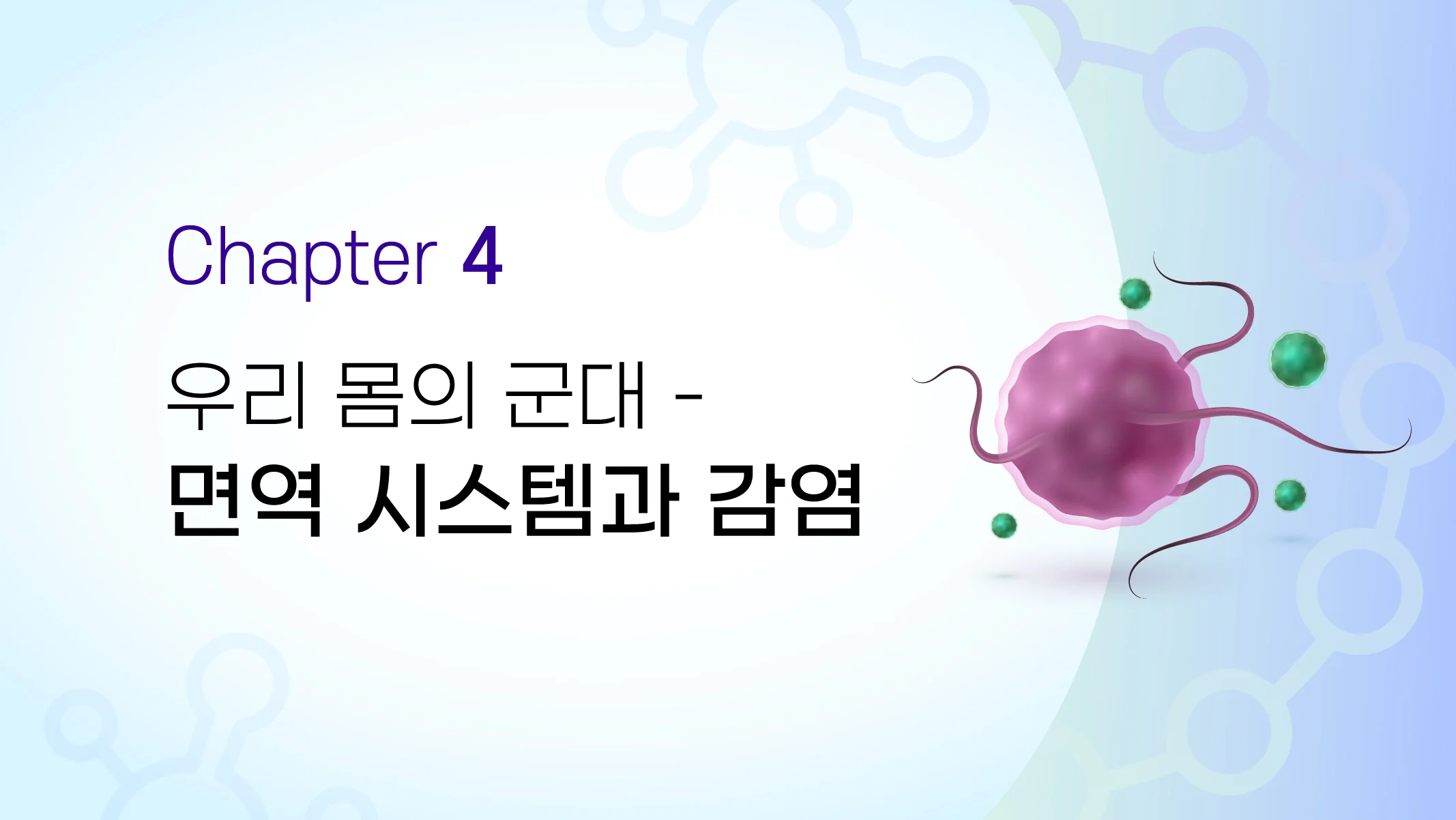 CHAPTER 04  우리 몸의 군대 - 면역 시스템과 감염