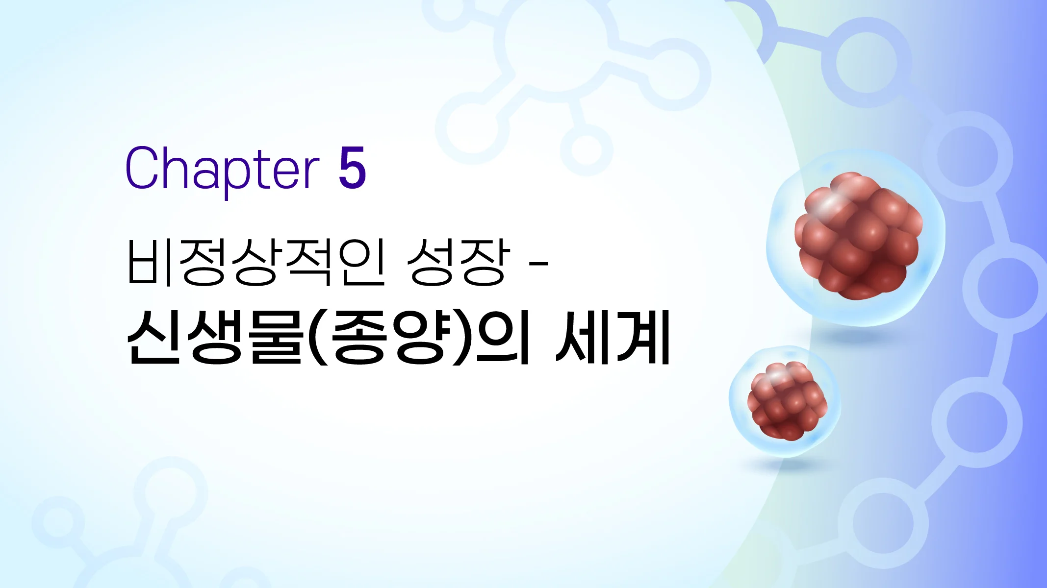 CHAPTER 05  비정상적인 성장 - 신생물(종양)의 세계