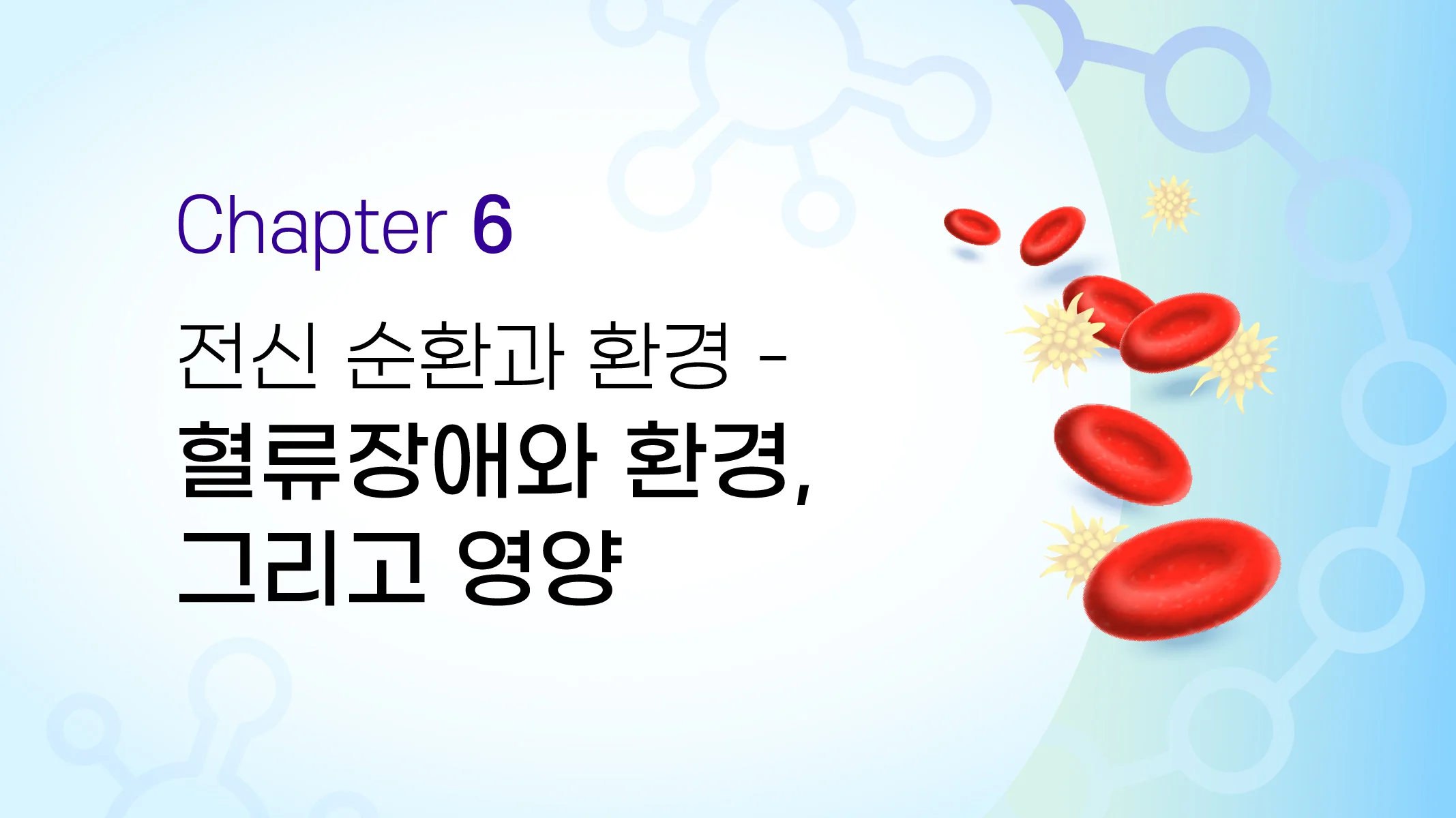 CHAPTER 06  전신 순환과 환경 - 혈류장애와 환경, 그리고 영양