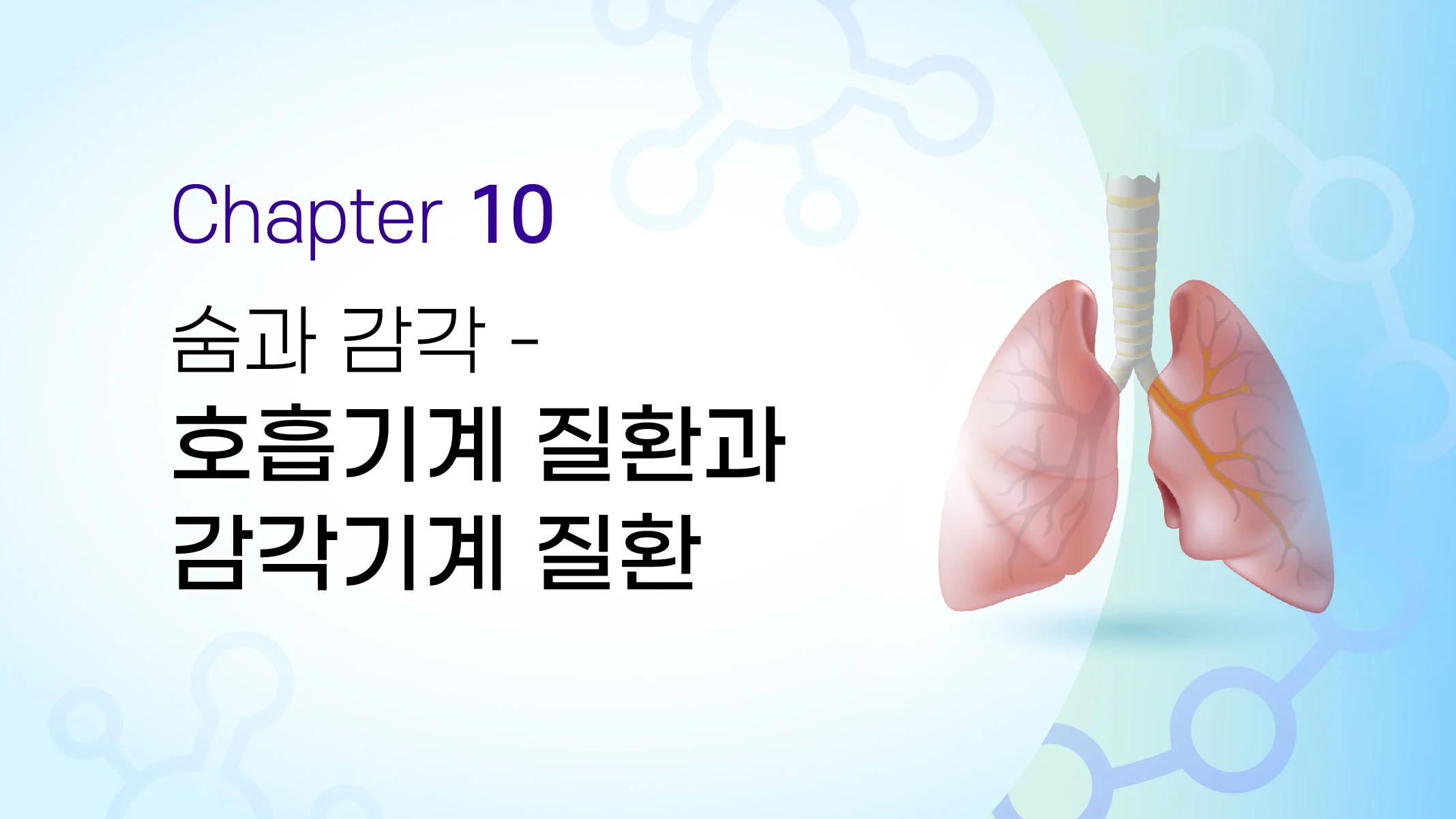 CHAPTER 10  숨과 감각 - 호흡기계 질환과 감각기계 질환