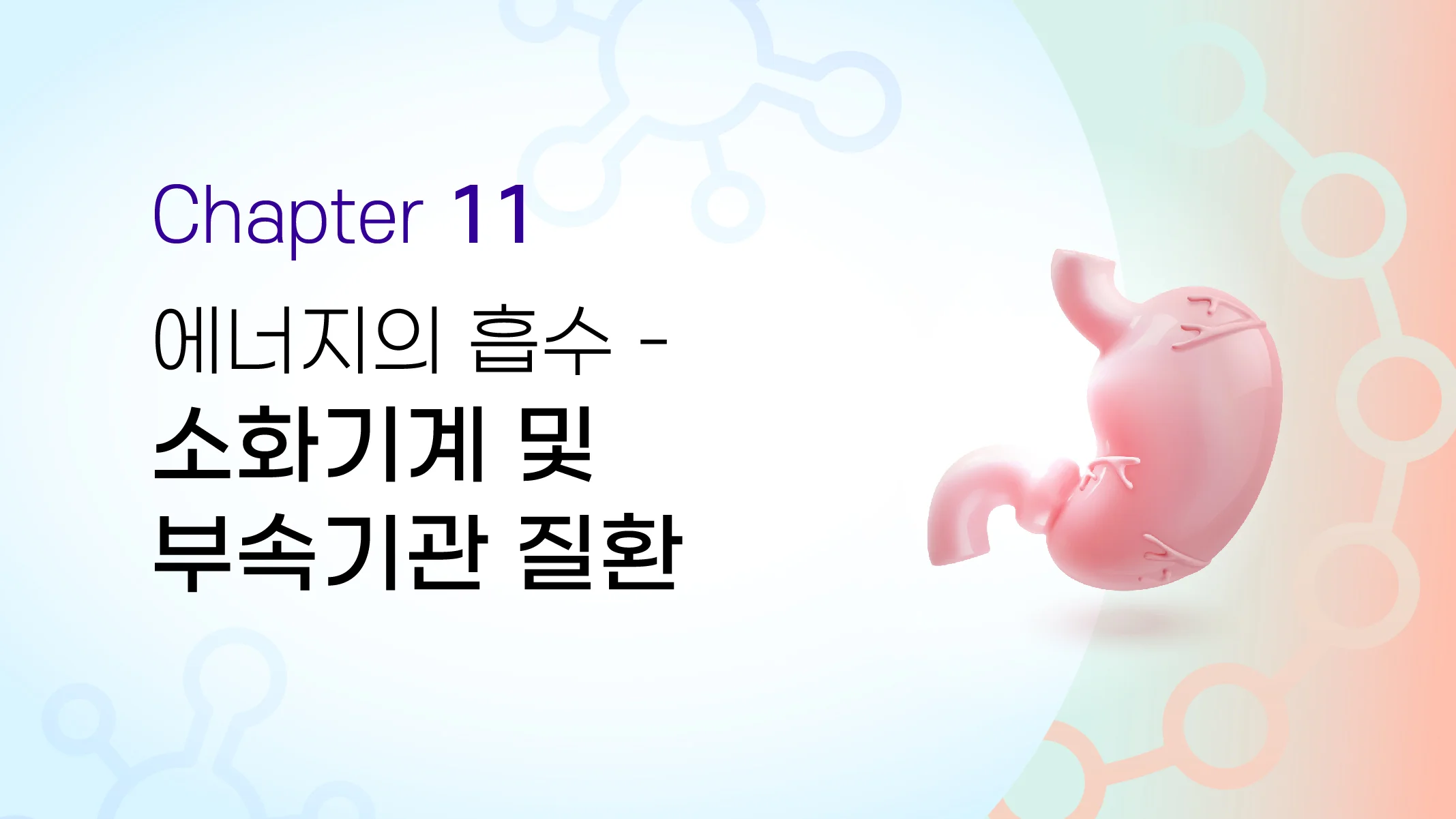 CHAPTER 11  에너지의 흡수 - 소화기계 및 부속기관 질환