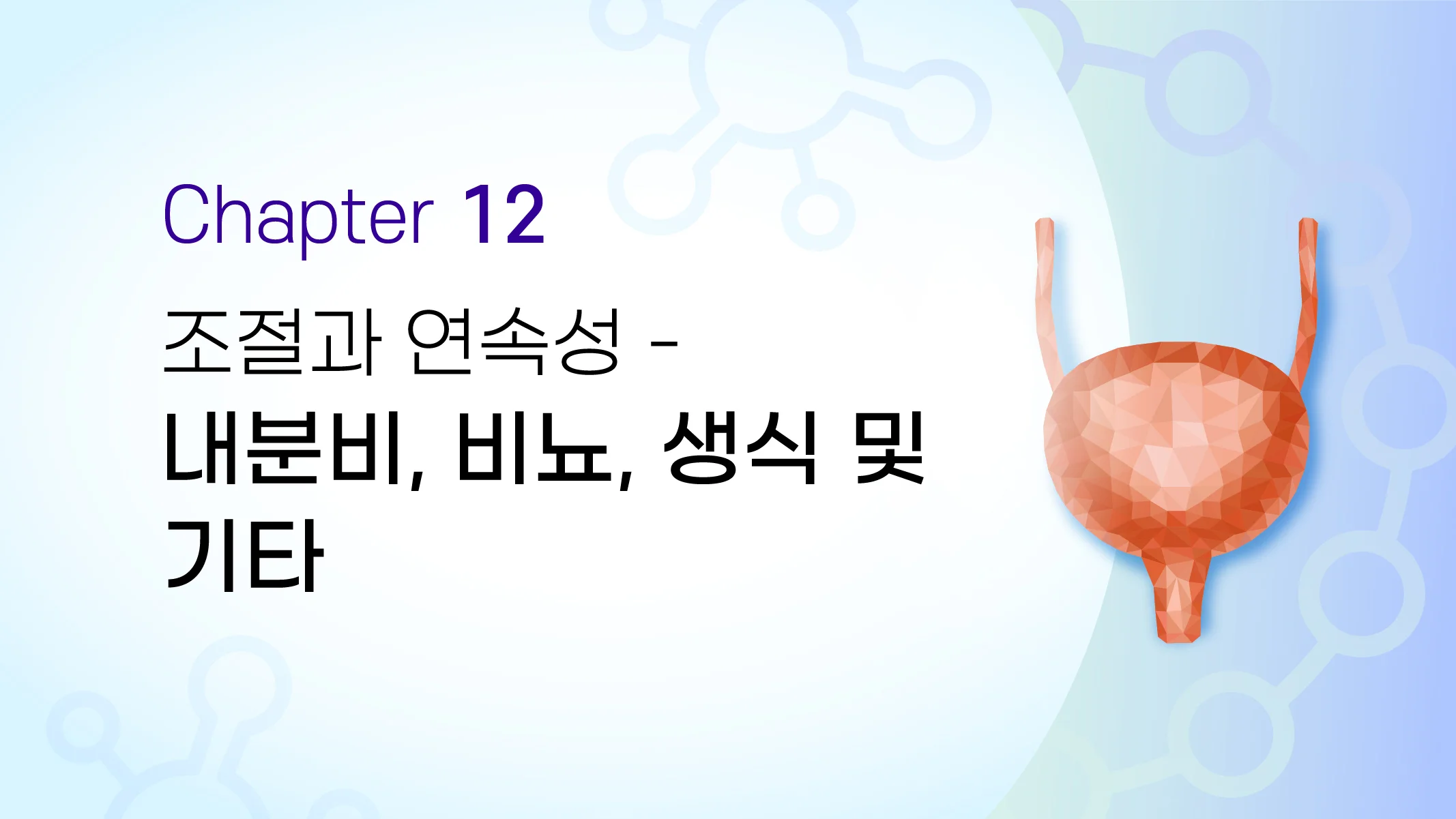 CHAPTER 12  조절과 연속성 - 내분비, 비뇨, 생식 및 기타
