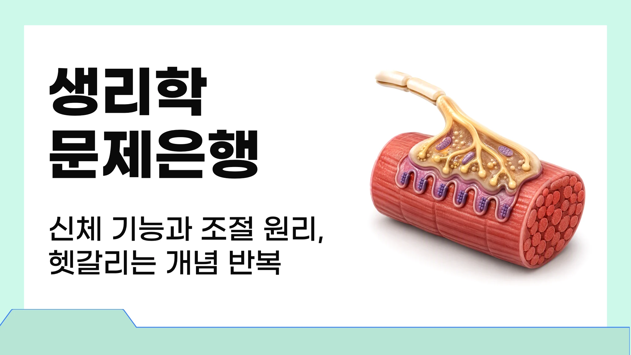 생리학