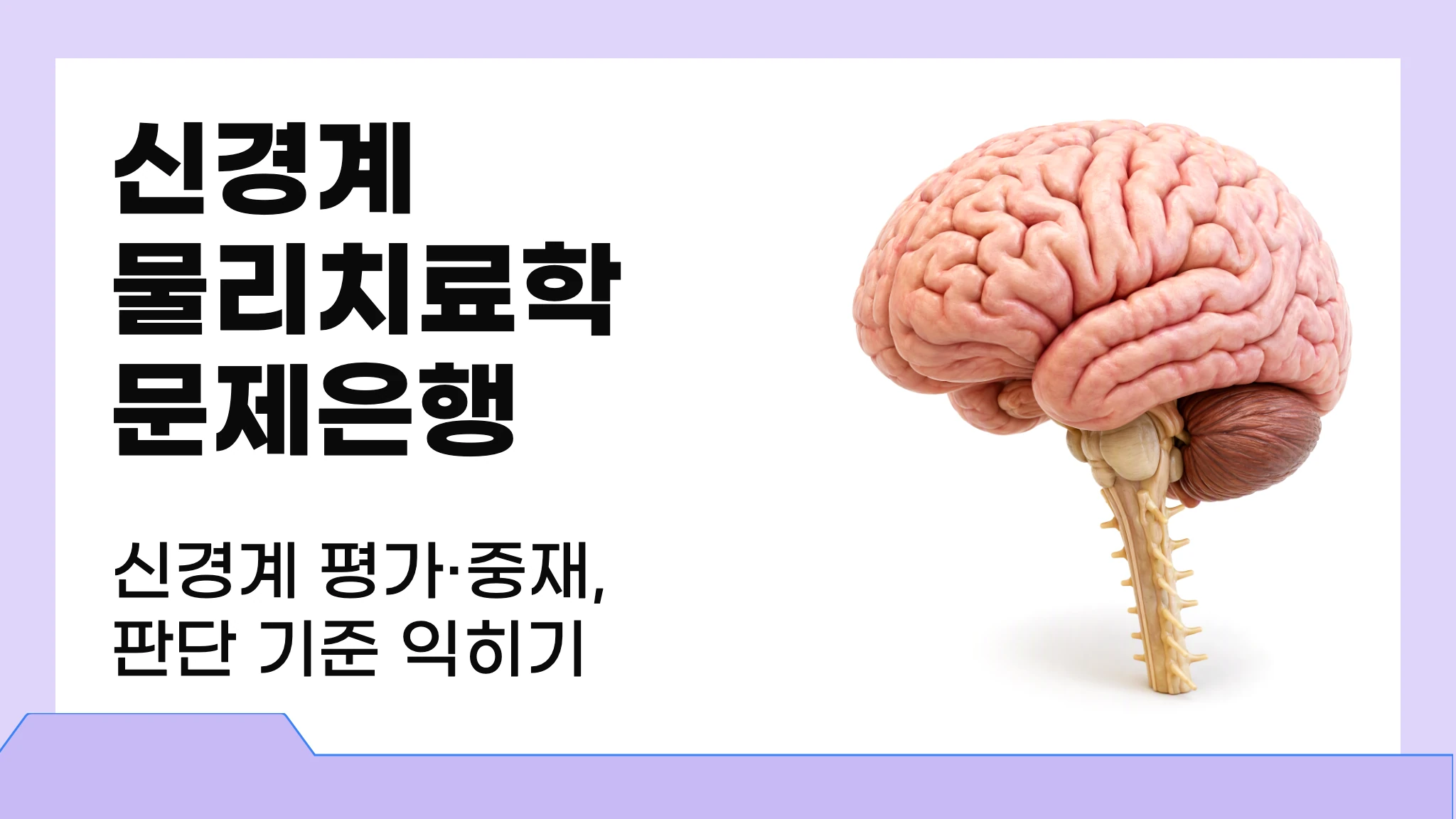 신경계물리치료학