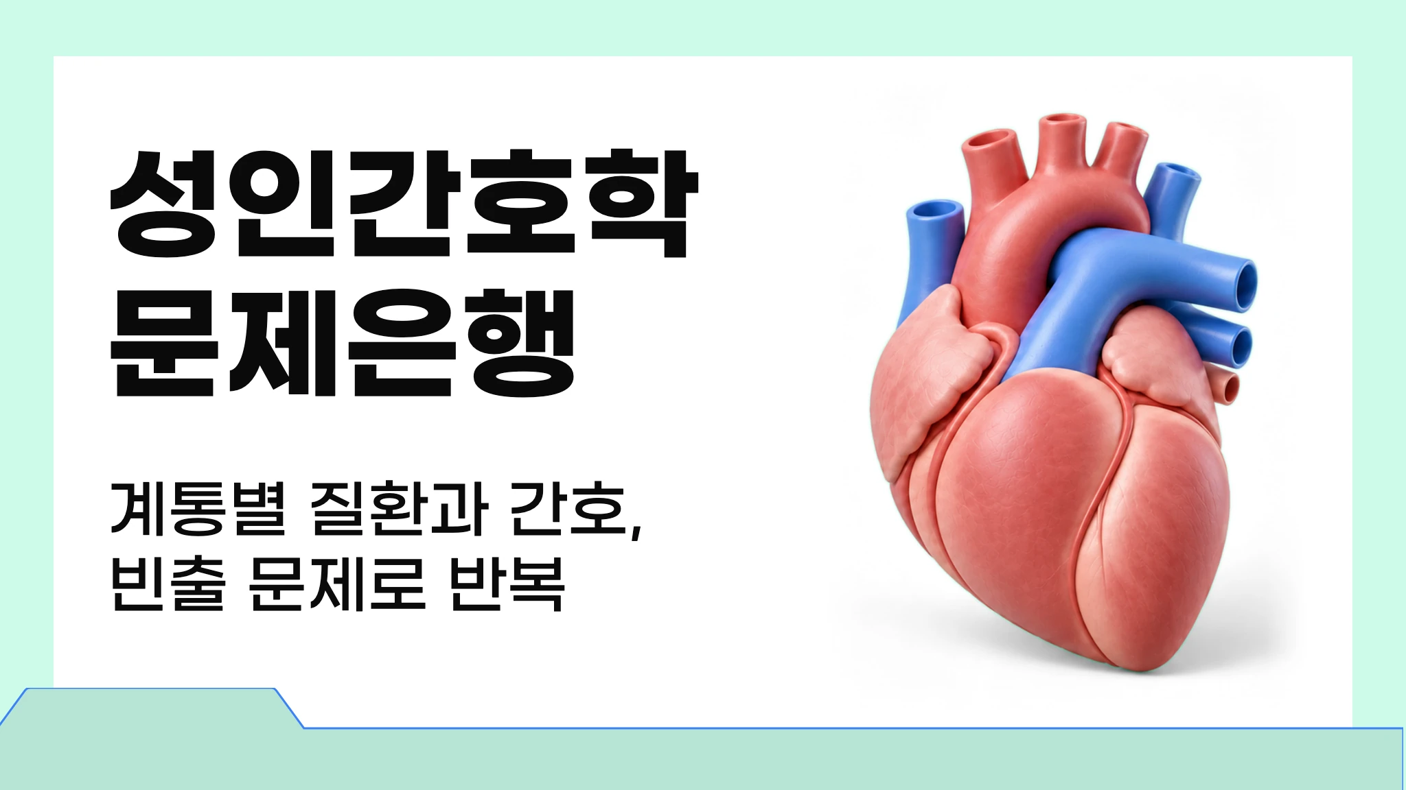 마이메르시 성인간호학
