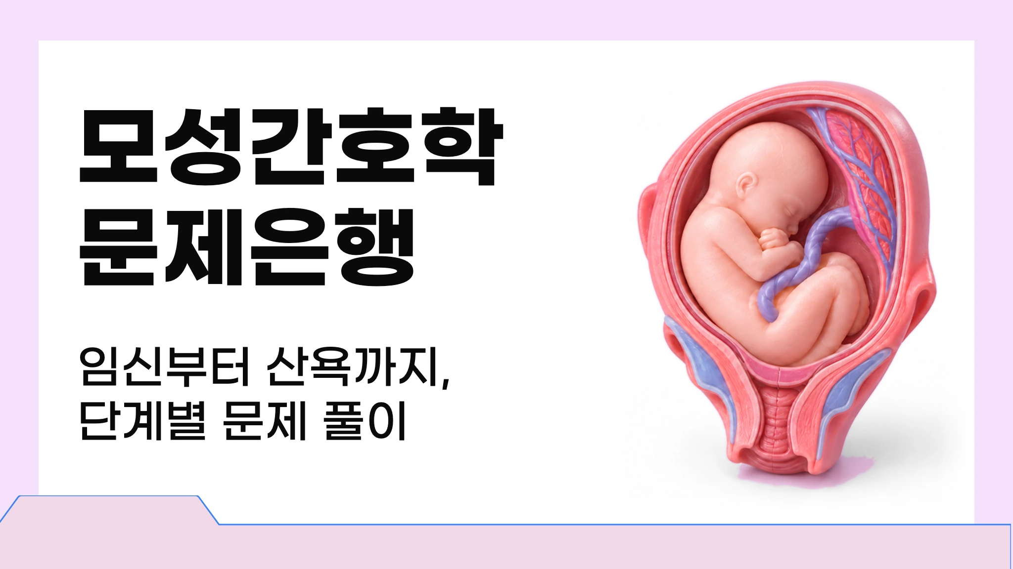 마이메르시 모성간호학