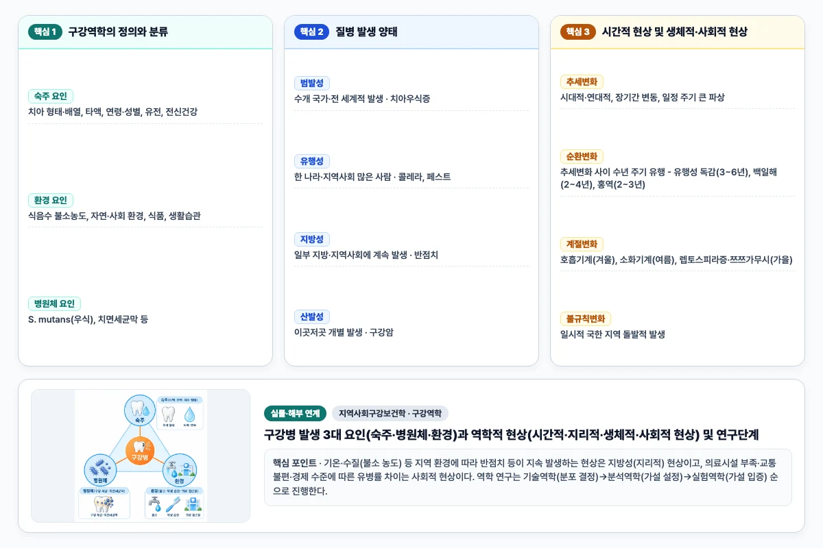 지역사회구강보건학 구강역학 핵심 비교 및 단계별 기전 도해