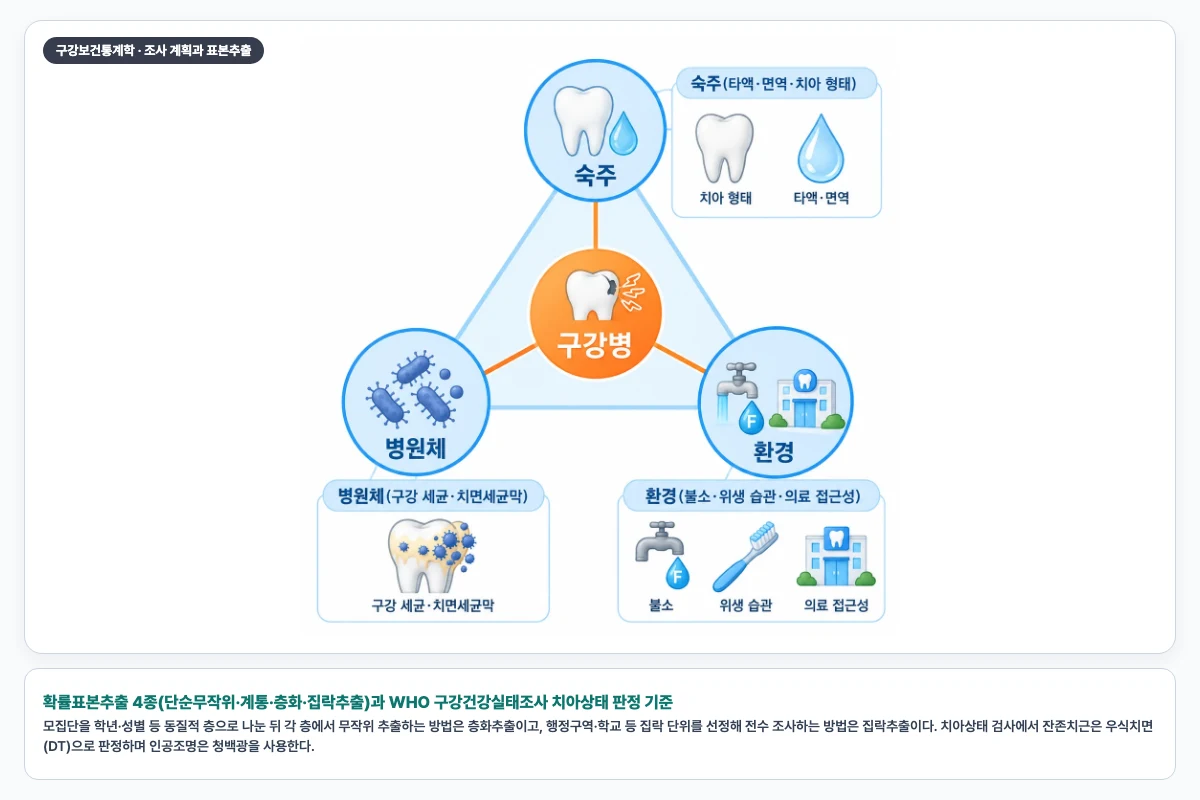 확률표본추출 4종(단순무작위·계통·층화·집락추출)과 WHO 구강건강실태조사 치아상태 판정 기준