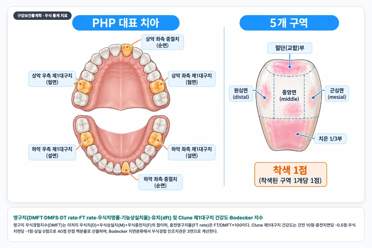 영구치(DMFT·DMFS·DT rate·FT rate·우식치명률·기능상실치율)·유치(dft) 및 Clune 제1대구치 건강도·Bodecker 지수