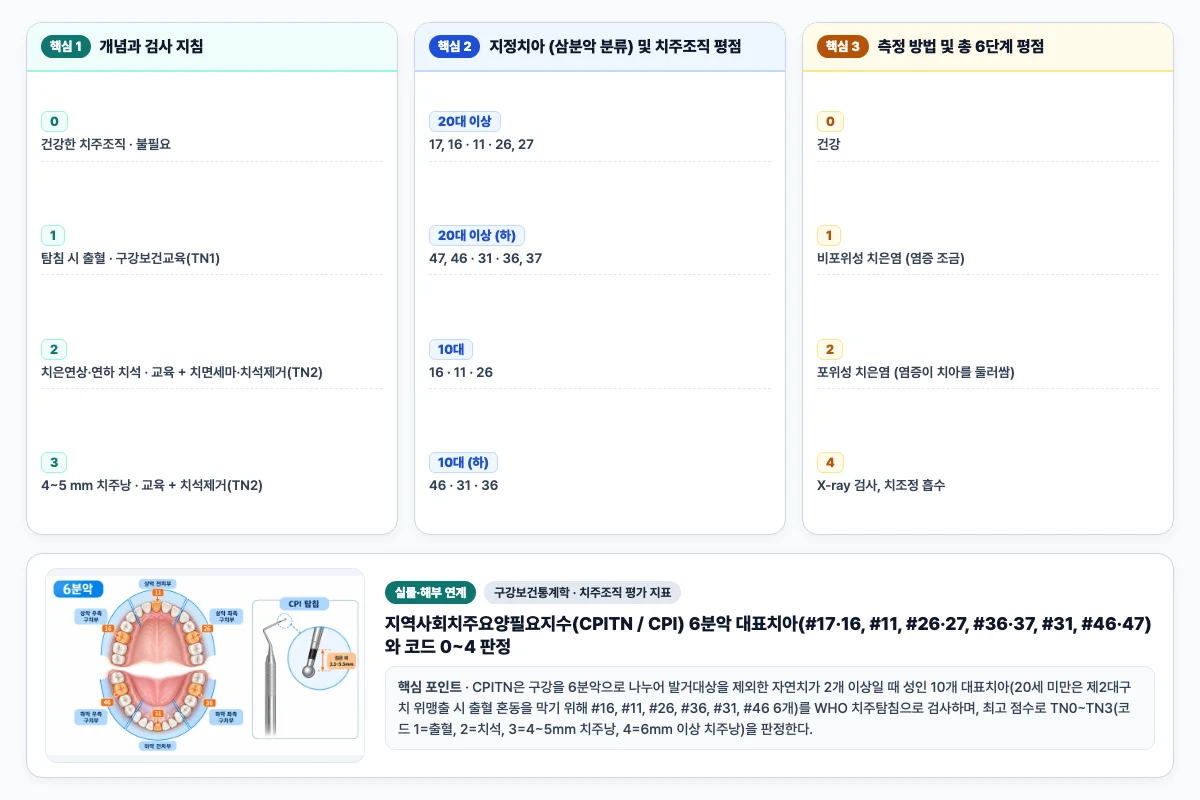 구강보건통계학 치주조직 평가 지표 핵심 비교 및 단계별 기전 도해