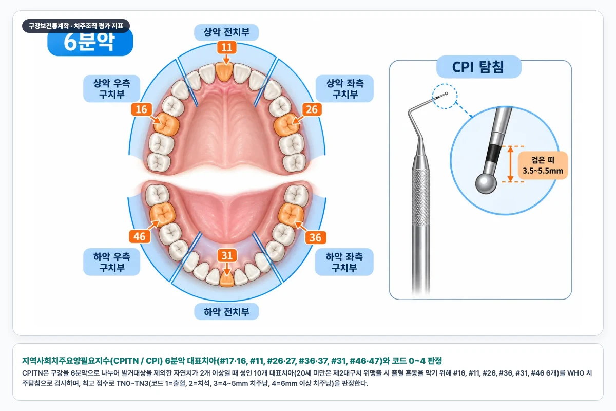 지역사회치주요양필요지수(CPITN / CPI) 6분악 대표치아(#17·16, #11, #26·27, #36·37, #31, #46·47)와 코드 0~4 판정