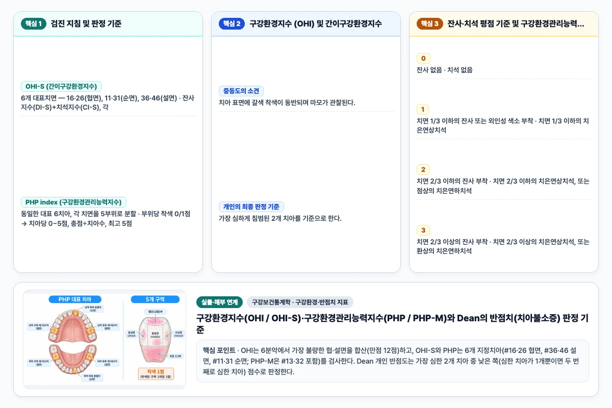 구강보건통계학 구강환경·반점치 지표 핵심 비교 및 단계별 기전 도해