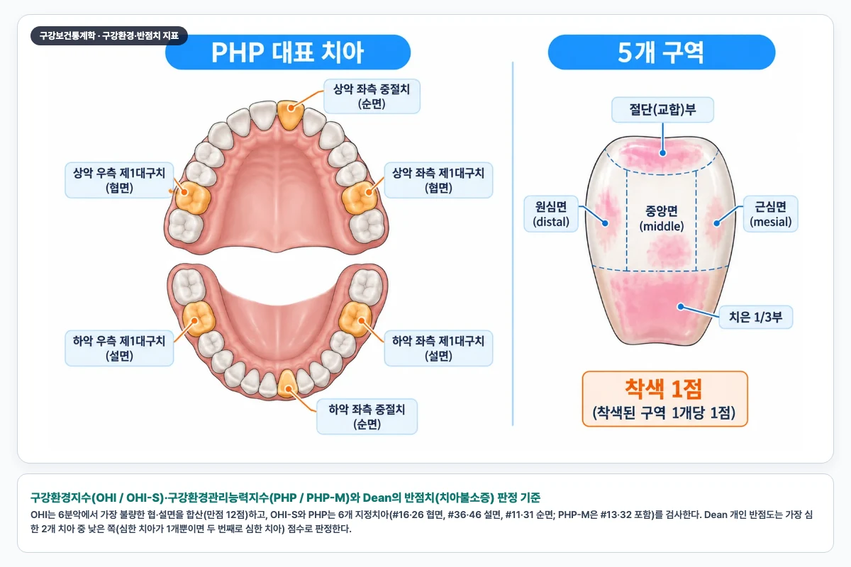 구강환경지수(OHI / OHI-S)·구강환경관리능력지수(PHP / PHP-M)와 Dean의 반점치(치아불소증) 판정 기준