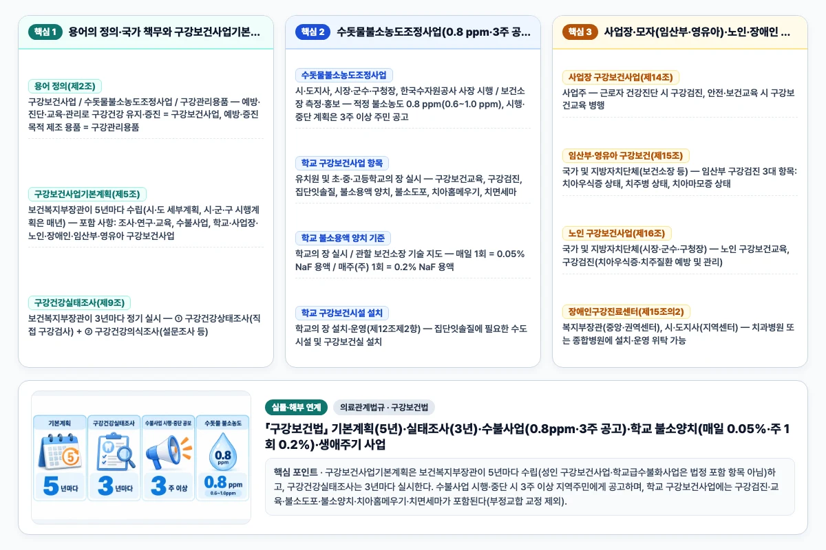 의료관계법규 구강보건법 핵심 비교 및 단계별 기전 도해