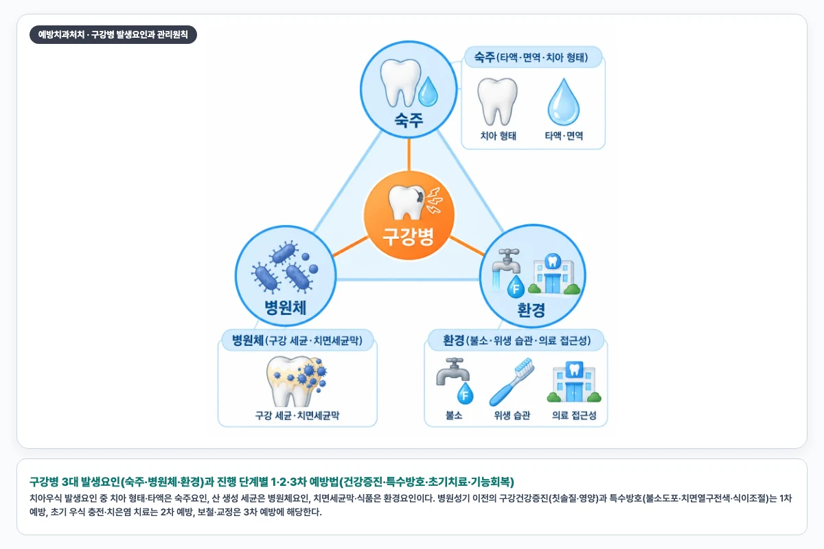 구강병 3대 발생요인(숙주·병원체·환경)과 진행 단계별 1·2·3차 예방법(건강증진·특수방호·초기치료·기능회복)
