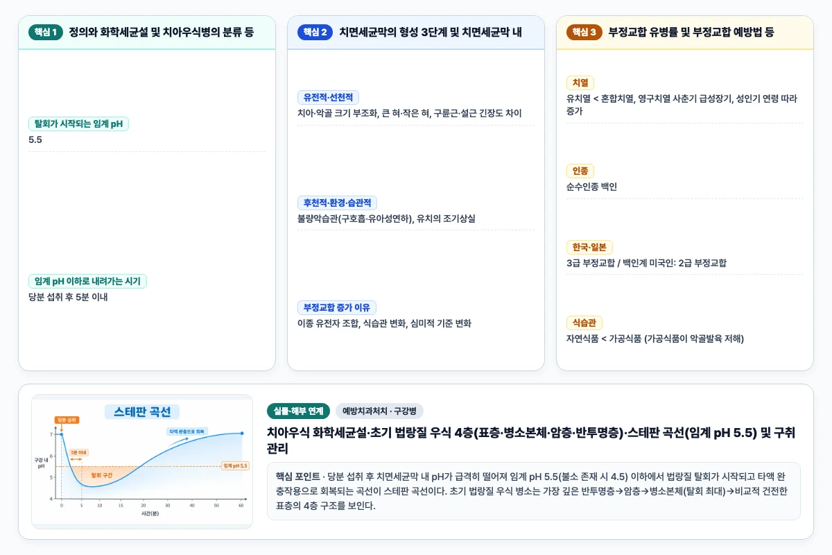 예방치과처치 구강병 핵심 비교 및 단계별 기전 도해