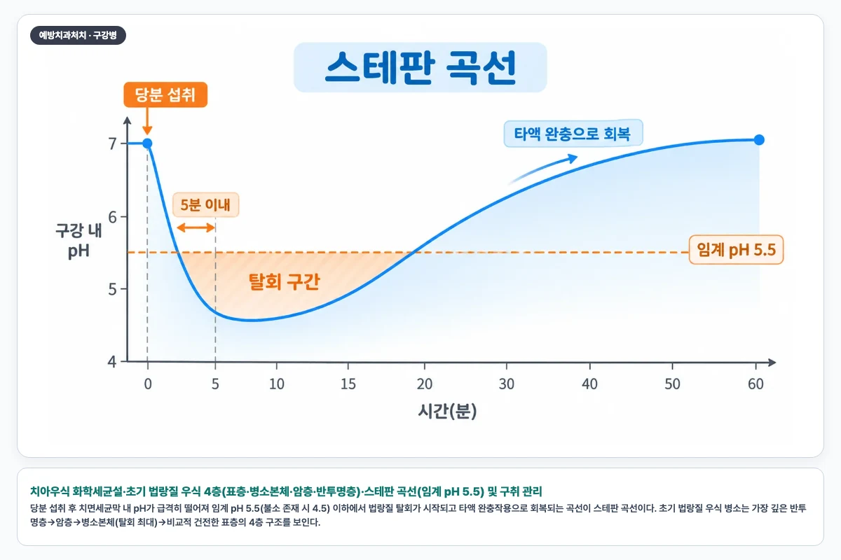 치아우식 화학세균설·초기 법랑질 우식 4층(표층·병소본체·암층·반투명층)·스테판 곡선(임계 pH 5.5) 및 구취 관리