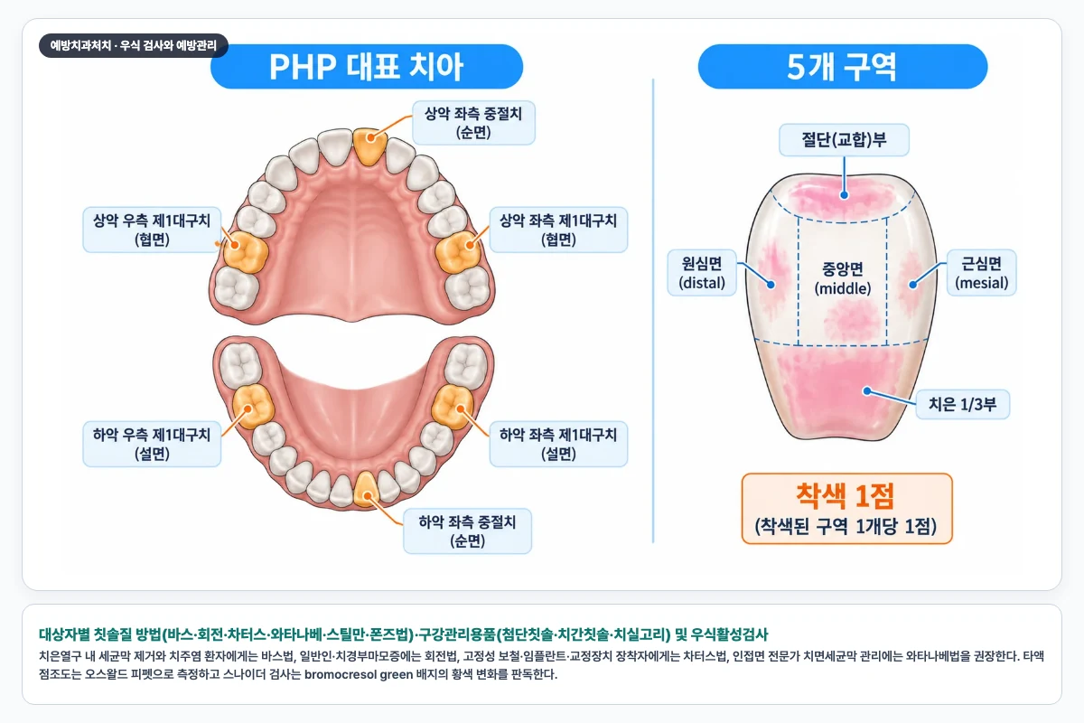 대상자별 칫솔질 방법(바스·회전·차터스·와타나베·스틸만·폰즈법)·구강관리용품(첨단칫솔·치간칫솔·치실고리) 및 우식활성검사
