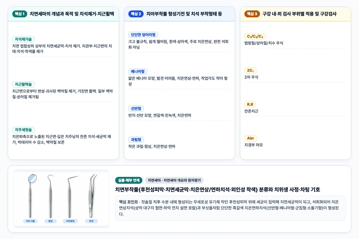 치면세마 치면세마 개요와 환자평가 핵심 비교 및 단계별 기전 도해