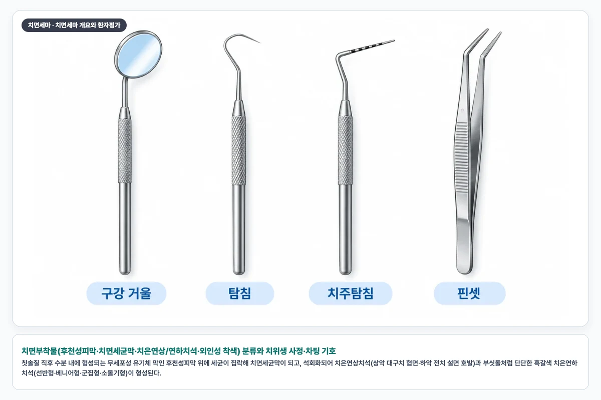 치면부착물(후천성피막·치면세균막·치은연상/연하치석·외인성 착색) 분류와 치위생 사정·차팅 기호