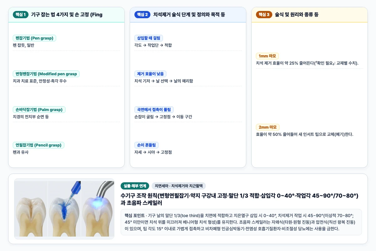 치면세마 치석제거와 치근활택 핵심 비교 및 단계별 기전 도해