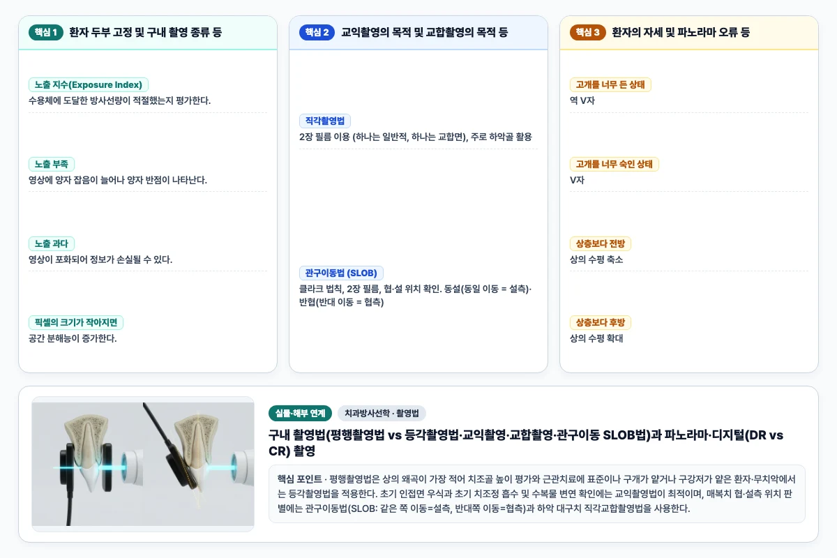치과방사선학 촬영법 핵심 비교 및 단계별 기전 도해