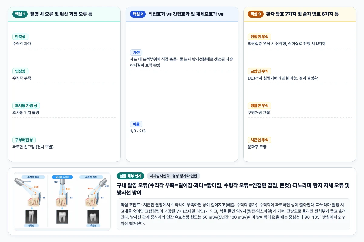 치과방사선학 영상 평가와 안전 핵심 비교 및 단계별 기전 도해