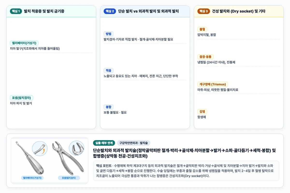 구강악안면외과 발치술 핵심 비교 및 단계별 기전 도해