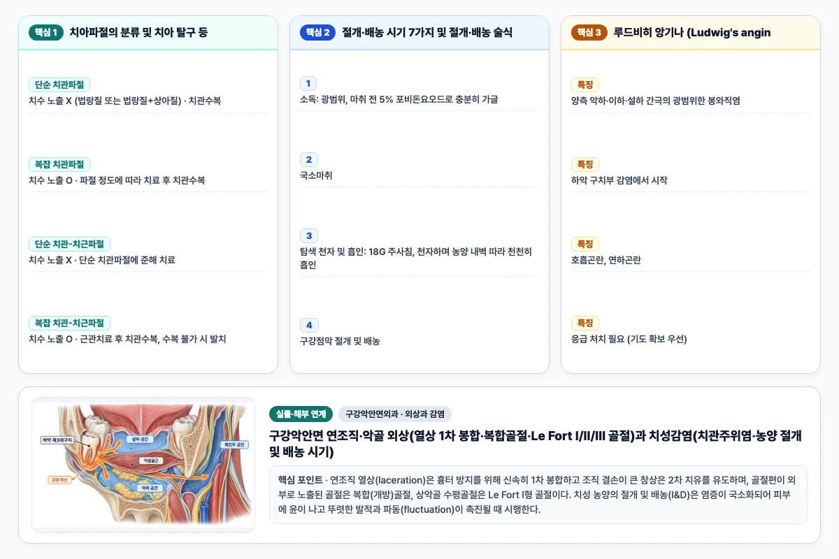 구강악안면외과 외상과 감염 핵심 비교 및 단계별 기전 도해