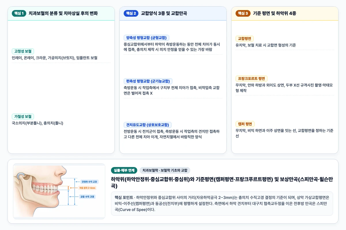 치과보철학 보철학 기초와 교합 핵심 비교 및 단계별 기전 도해