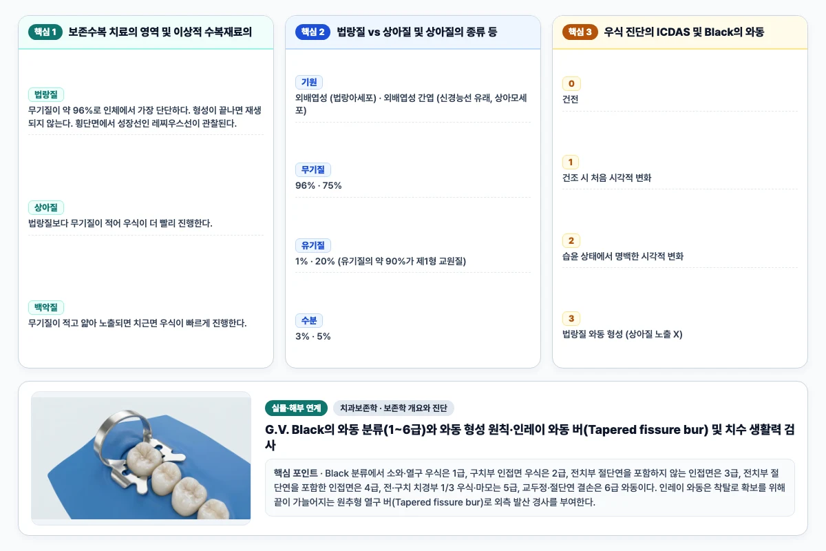 치과보존학 보존학 개요와 진단 핵심 비교 및 단계별 기전 도해