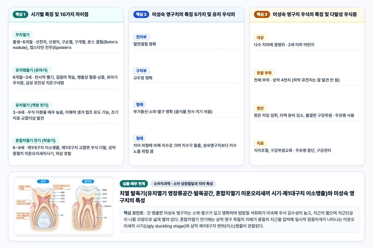 소아치과학 소아 성장발달과 치아 특성 핵심 비교 및 단계별 기전 도해