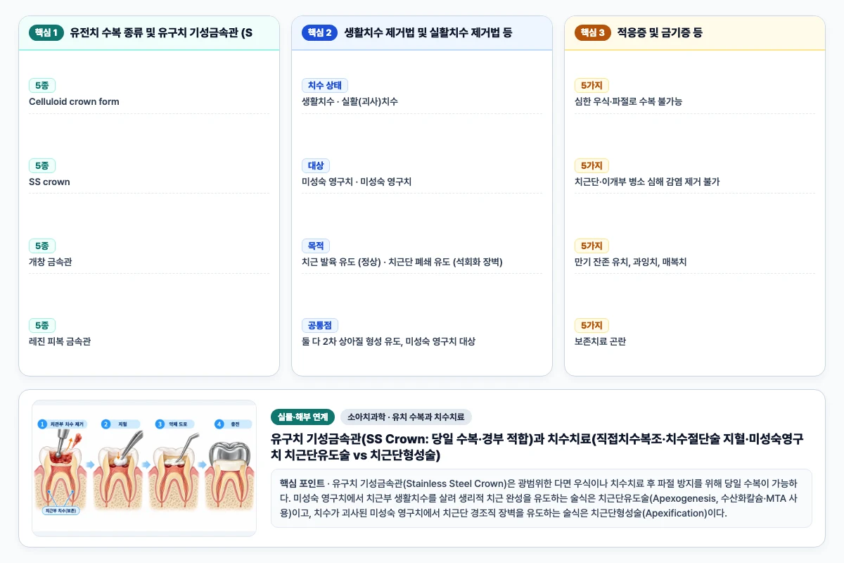소아치과학 유치 수복과 치수치료 핵심 비교 및 단계별 기전 도해