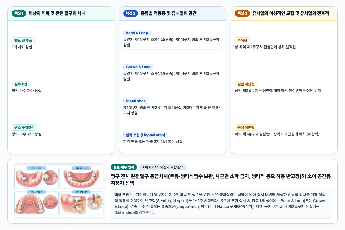 소아치과학 외상과 교합 관리 핵심 비교 및 단계별 기전 도해