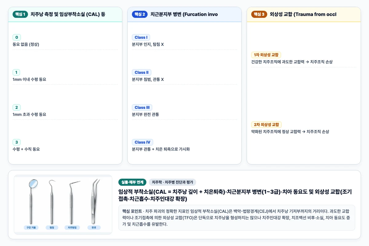 치주학 치주병 진단과 평가 핵심 비교 및 단계별 기전 도해