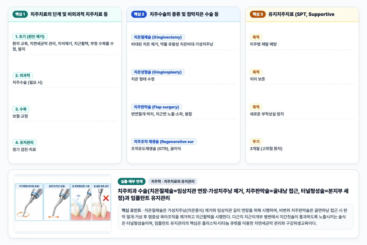 치주학 치주치료와 유지관리 핵심 비교 및 단계별 기전 도해
